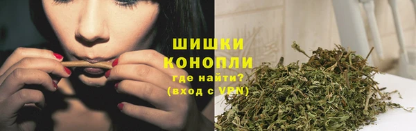 прущие грибы Балахна