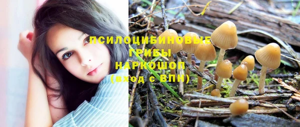 прущие грибы Балахна