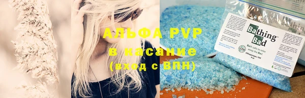 прущие грибы Балахна