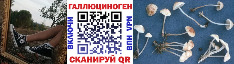 Галлюциногенные грибы Psilocybine cubensis  Малоярославец 